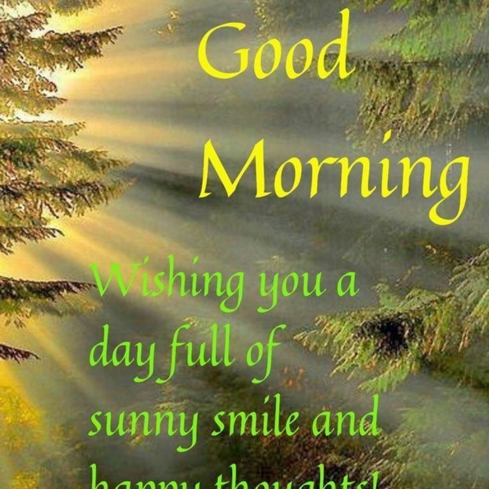 Meet your Posher, Ciara